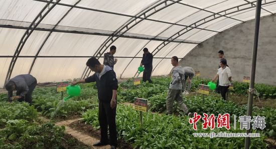 图为机关党员日常管护工作现场。 365体育娱乐手机平台_足球比分365_office365个人邮箱委宣传部供图